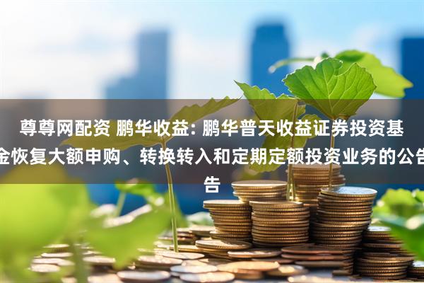尊尊网配资 鹏华收益: 鹏华普天收益证券投资基金恢复大额申购、转换转入和定期定额投资业务的公告
